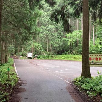 三童子山を下って今度は鞍掛山へ。
ここで雨が本降りに変わる。

登りまではペースが良かったが、足裏が限界で、下りはかなりゆっくりになってしまった。

そして下山直前の沢あたりで大渋滞。
下山後2キロ程のロードを走った先のAS10で見事にタイムアウトとなる…無念🥲
