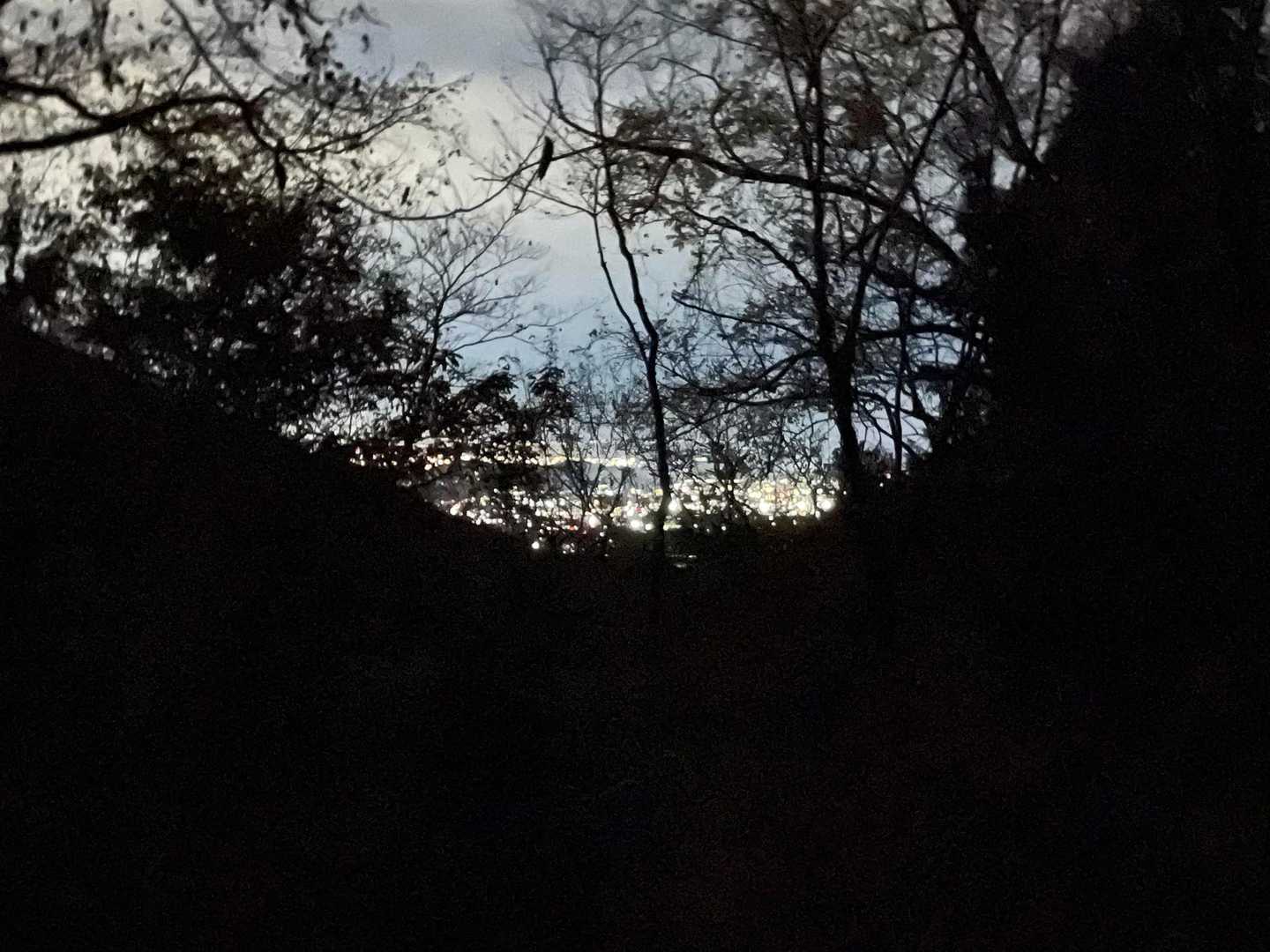 夜景が素敵、近い！