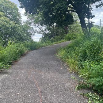 太子山へ