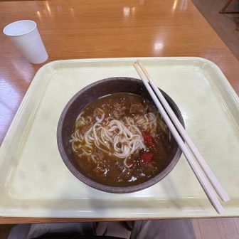 稲庭カレーうどん
