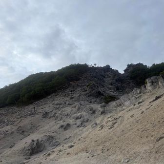 砂地を登るのは大変