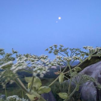 月が綺麗でした