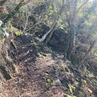 ピンテ消失　過去の自分の軌跡とにらめっこ