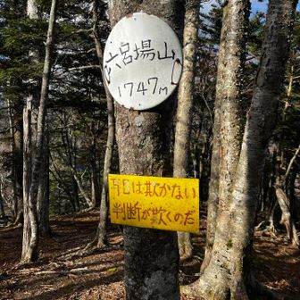 耳目は欺かない、判断が欺くのだ！
名言👍