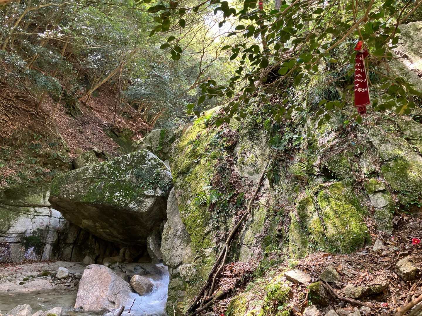 弥一ヶ岳-鎌ヶ岳-武平峠-御在所岳-一ノ谷新道登山口-中登 周回コースの写真