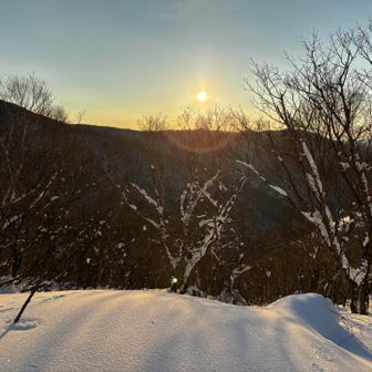 ✨✨✨✨

無風、無音の中ゆっくり歩く🚶‍♀️
全力の癒し🧡