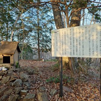 環境保全グループさま、ありがとうございます。