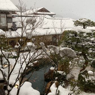 まめなーず:🌌のGG