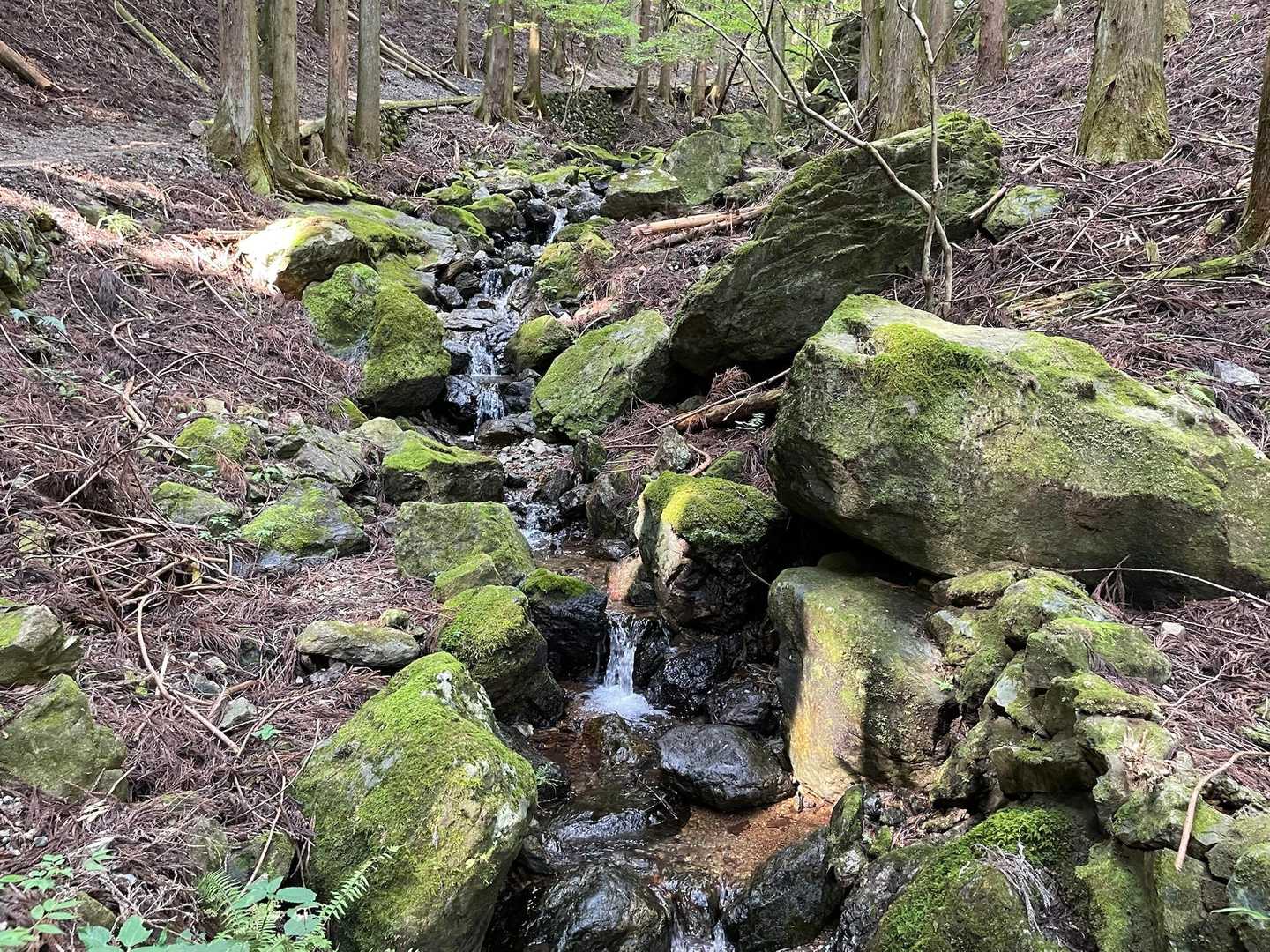 駒形登山口-鳴神山 往復コースの写真