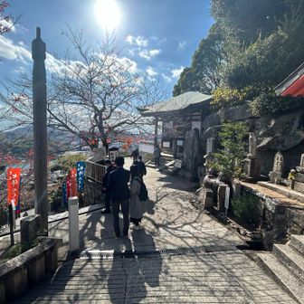千光寺山のピークは写真撮り忘れ💦
まぁ写真撮りたくなるようなピーク感のある場所でもなかったな😅
千光寺を経由して降っていきます。