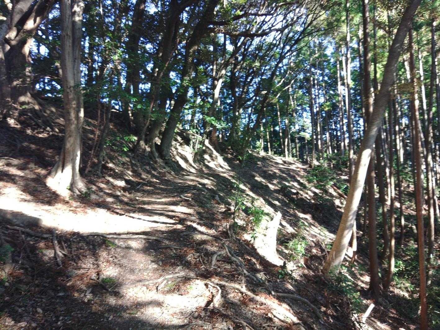粟ヶ岳 周回コースの写真