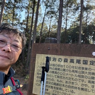 明治の森。ちなみに平成や令和の森はない。