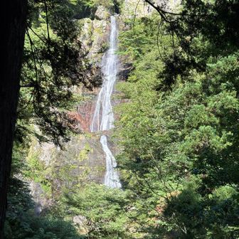 滝見台の少し先で琵琶の滝がよく見えます！