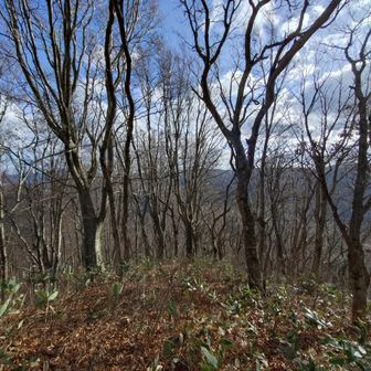 南方面は激下り。