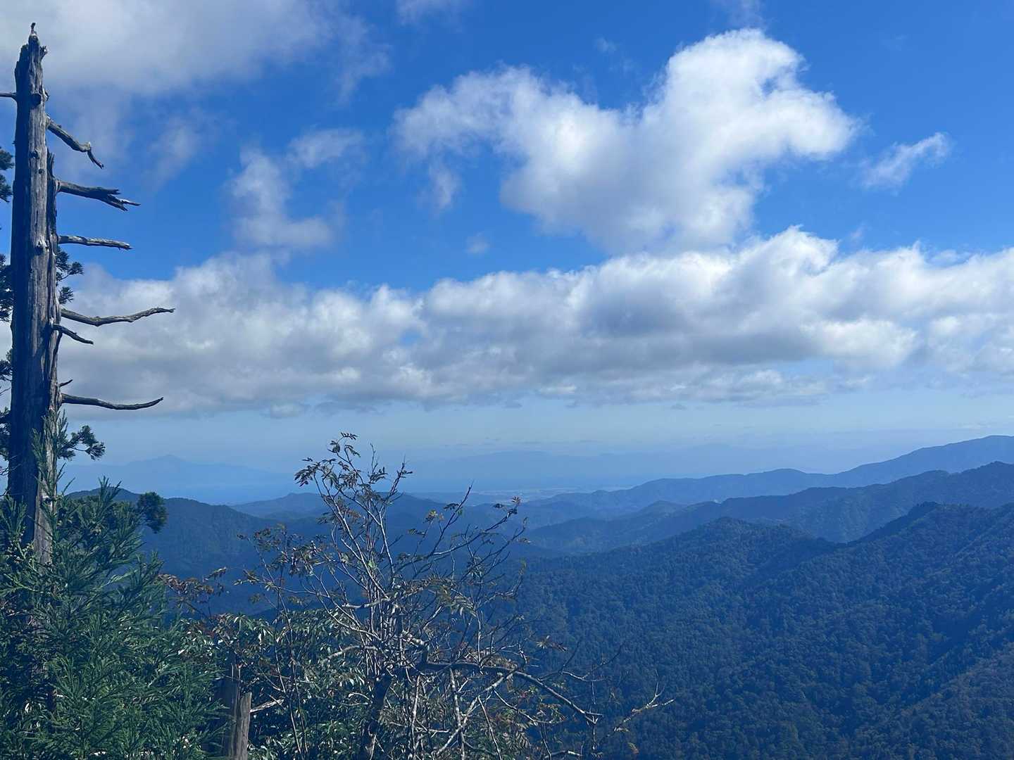 遠くに伊吹山や霊仙山⛰️ 
琵琶湖も薄っすら