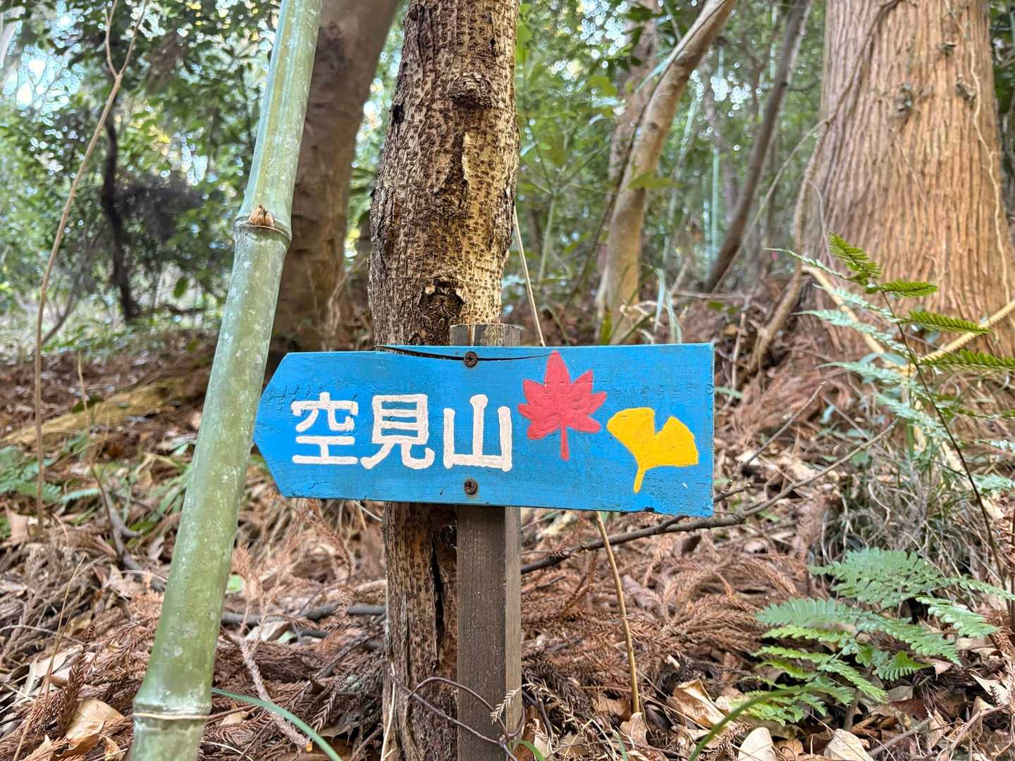 手作りの案内板🪧