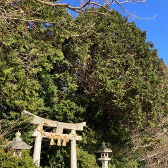 青空もあっていい感じでスタート