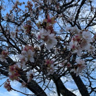 ちょっと暗いですが、新春からいい感じ！