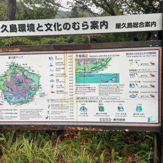 案内図、いざという時に役立ちます！