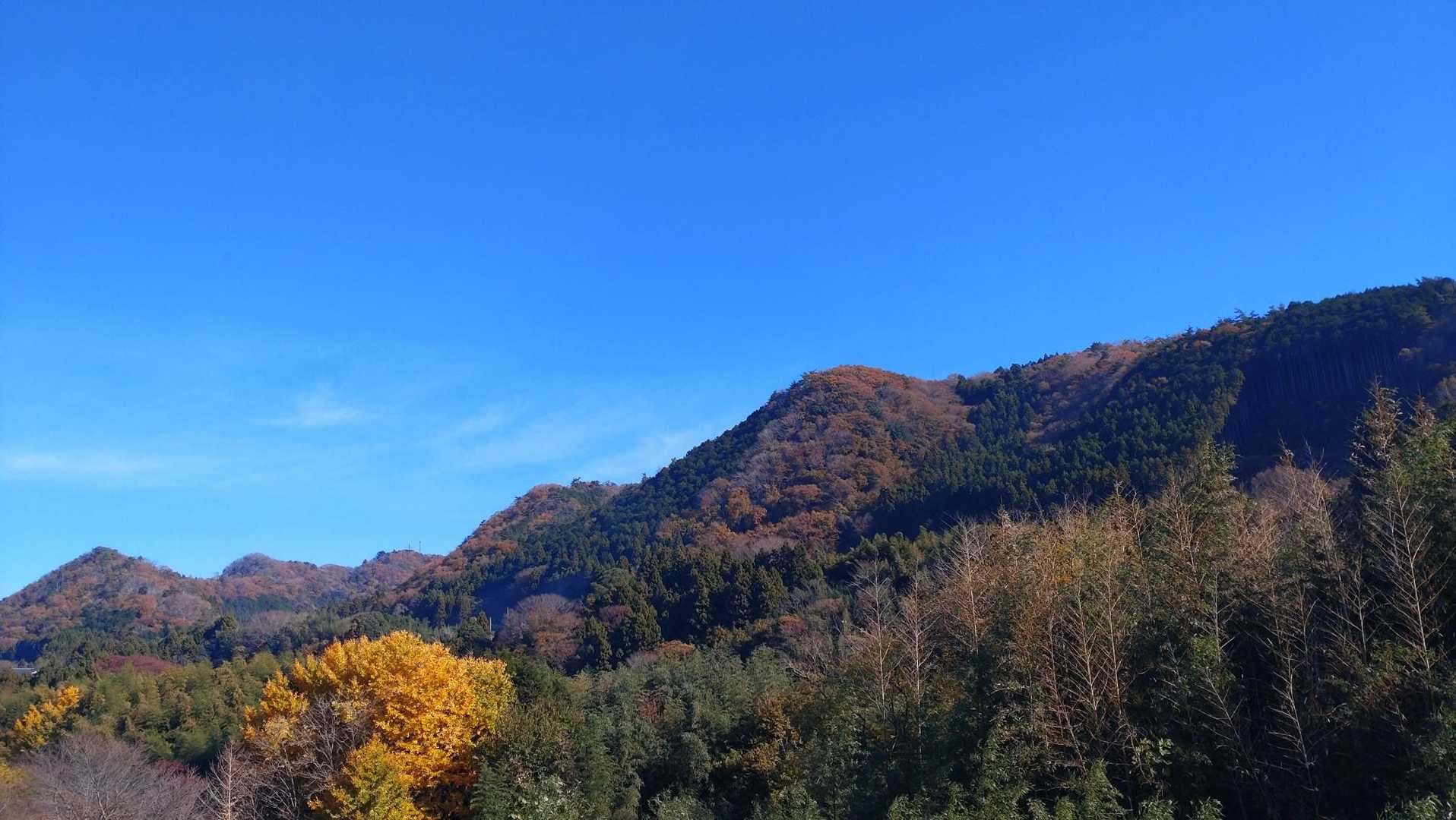 川沿いを歩きながら、あれが熊野山かなと見上げる