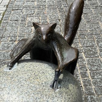 ムササビ～