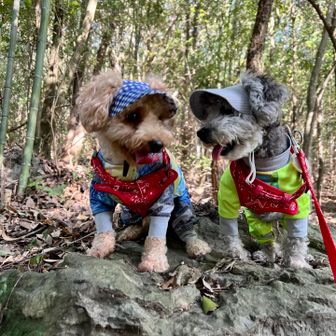 にこまるとズット