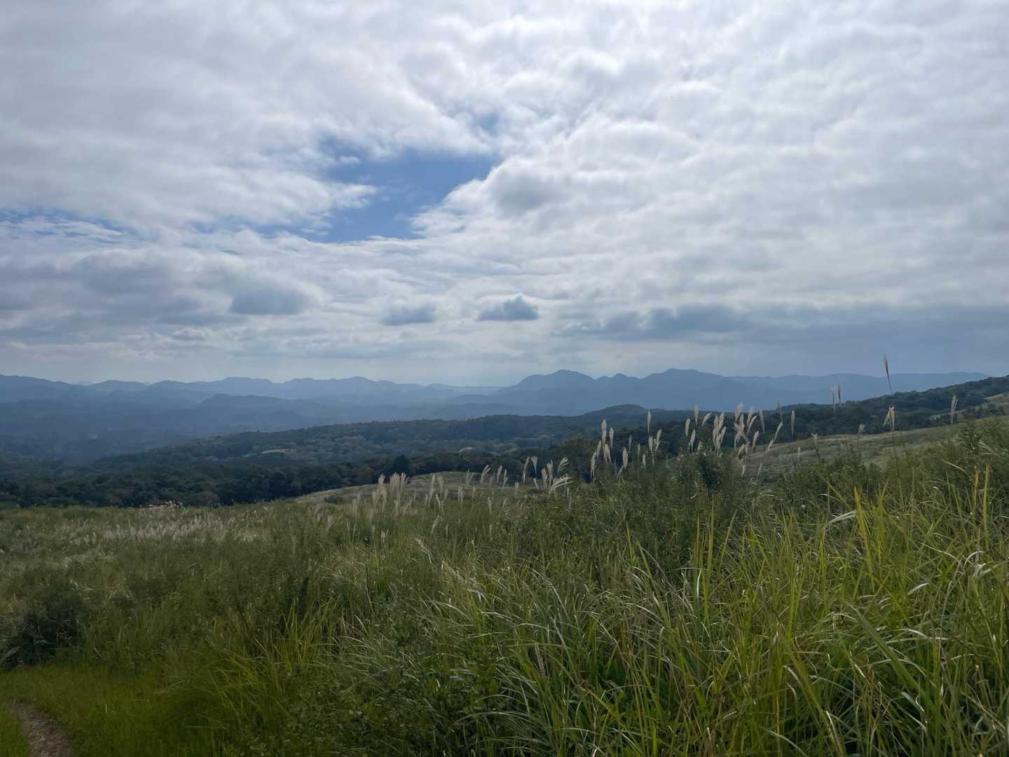 空が広いよ