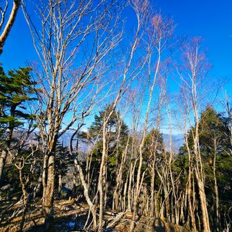 眺めが良いような、そうでもないような…。でも明るくて楽しいところでした。