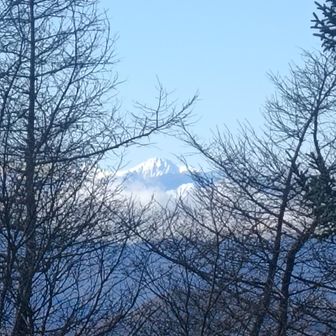 お話した方が「北岳」だよと教えてくださいました😍来年は行けるかなあ🤔
ほんとは9月に剱と北岳に行くことになってましたが、医師とPTさんに真顔で反対され大人しく諦めました💦