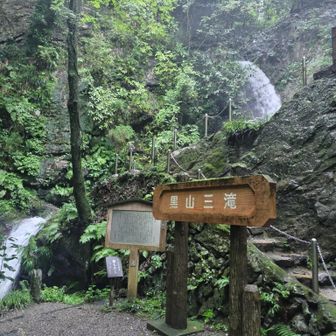 これが黒山三滝😯なかなかの迫力👍️