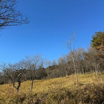 東おたふく山、誰もいない…