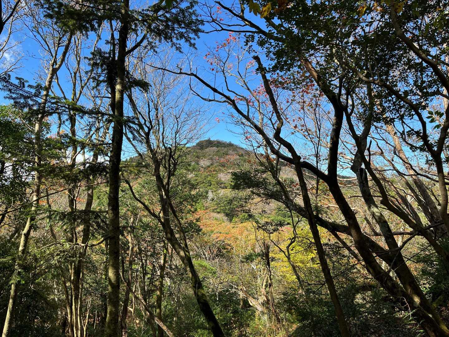 つつじヶ丘登山口-えびの岳 周回コースの写真
