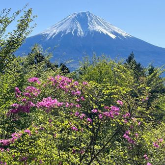 ハイキングたこさん