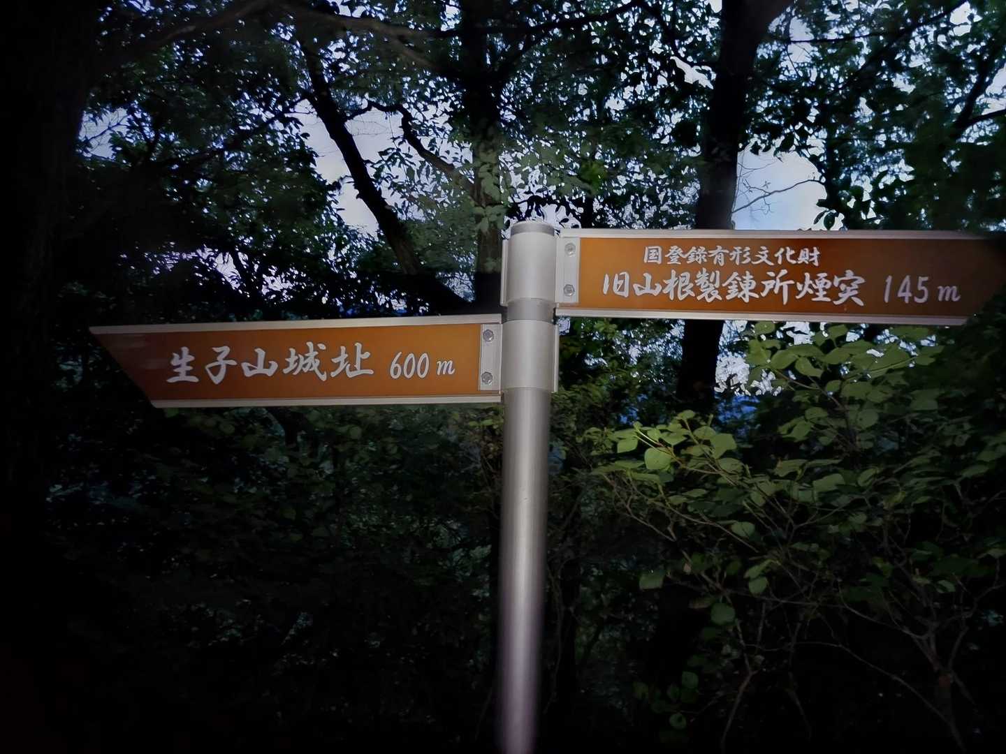 あぁ！こんなところにも城趾が！
予定があるので、今回は我慢🏯