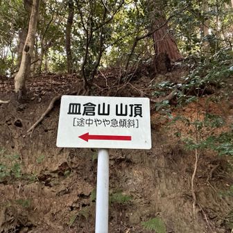 国見岩登山道「やや急傾斜」…Σヾ(□≦*)ﾄﾞｺｶﾞﾔﾈﾝｯ‼︎