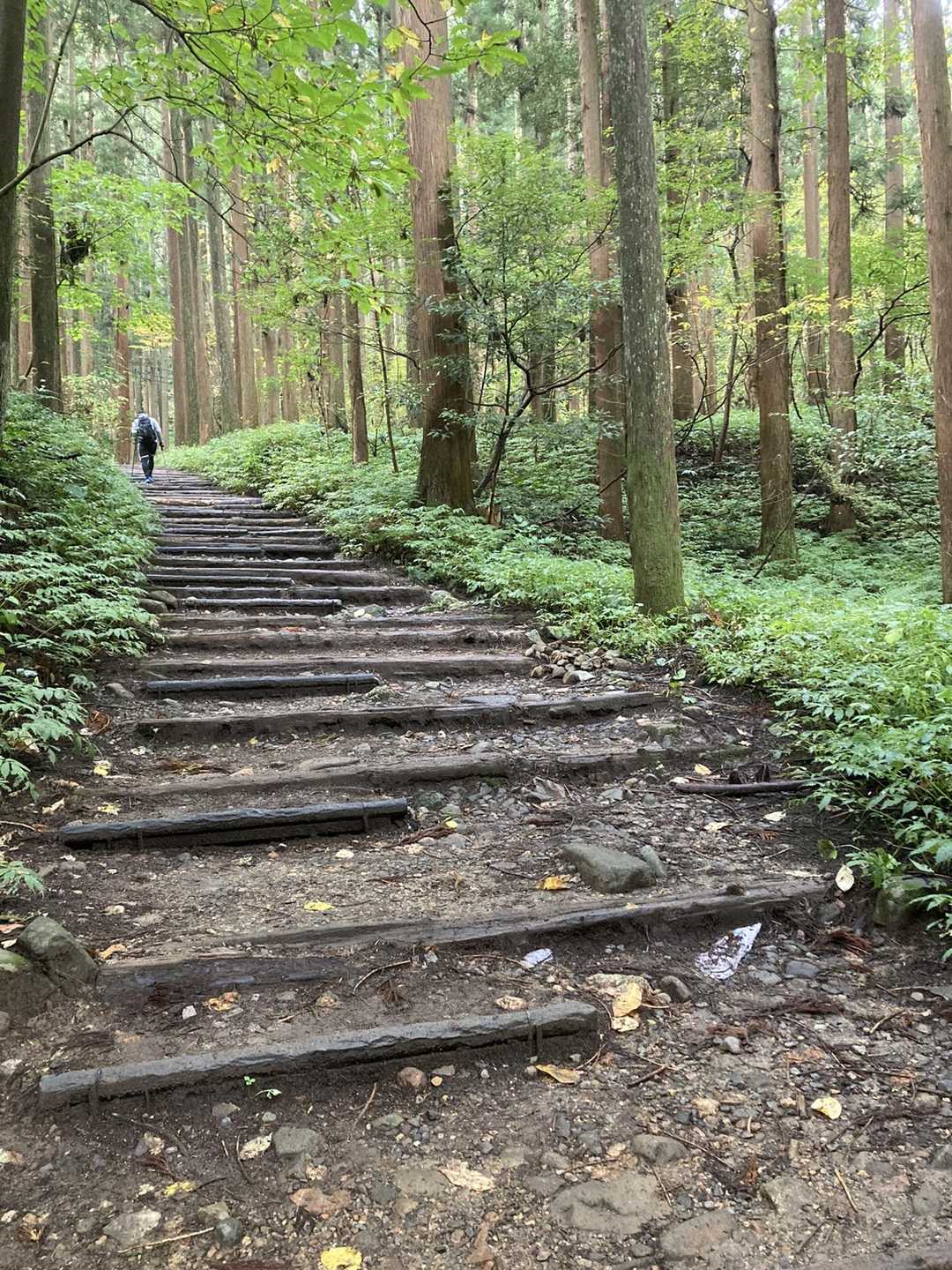 弥彦山-弥彦山ロープウェイ 縦走コースの写真