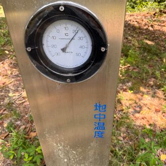 公園内に色々な設備があって森の生態や地形等が勉強出来るみたいです