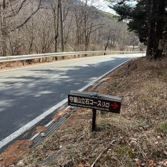 歩きやすい道下りて
道路へ