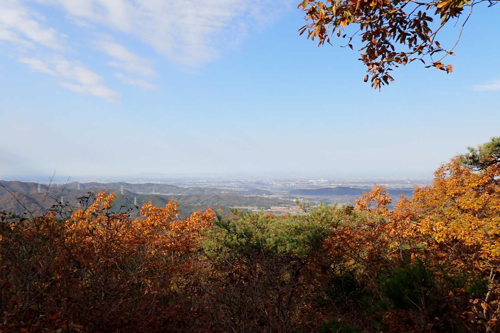 今日は、
秋って感じの晴れ模様です☀
