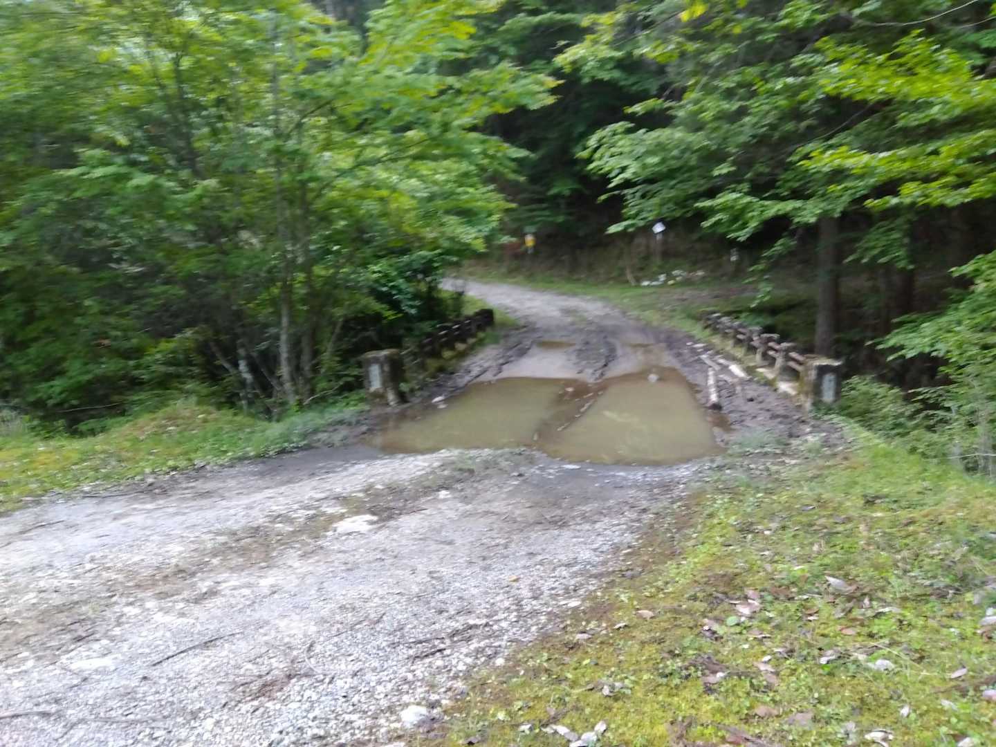 平家山登山口手前の”とぞの谷橋”、駐車が無難でしょうか。
445号線も葉木林道も噂通りの酷道ですが、イマイチ運転の”おじ山”でも何とかなるレベルでした。
案ずるより行くが易し！　でした。