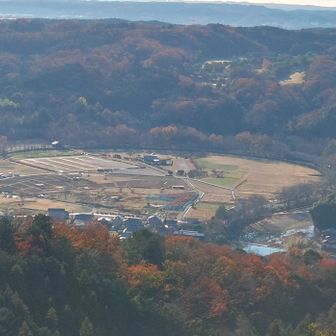 巾着田
曼殊沙華の時期には真っ赤に染まるらしい