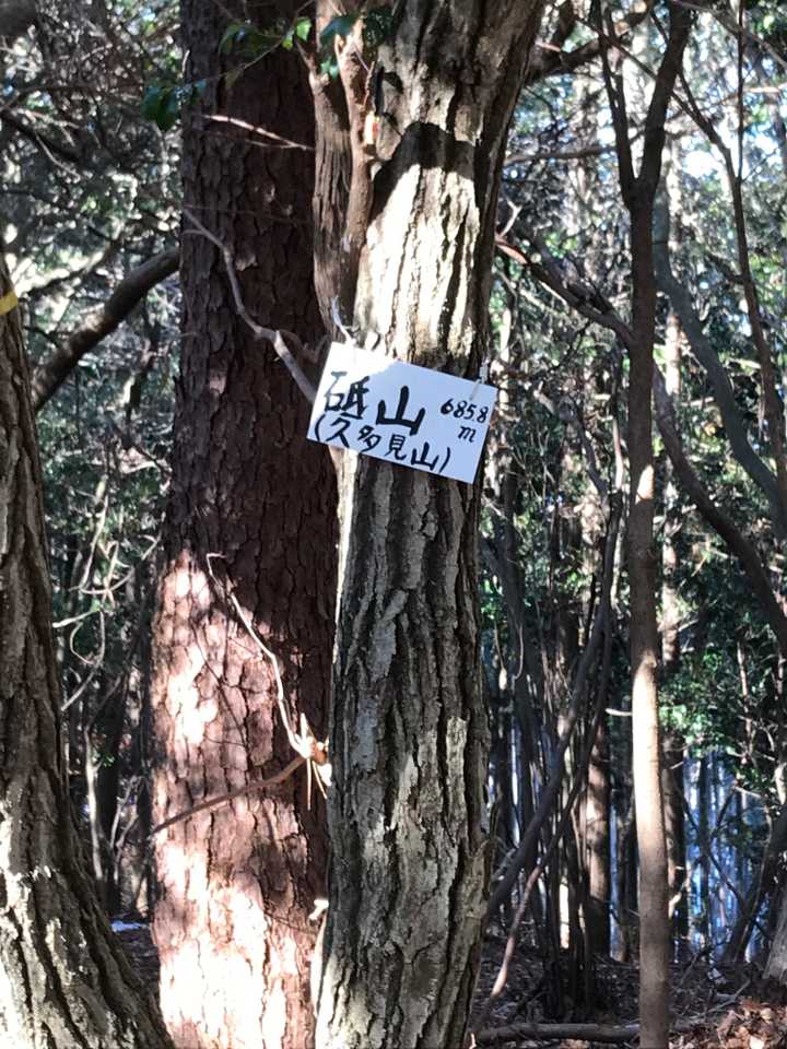 直ぐに山頂に到着。