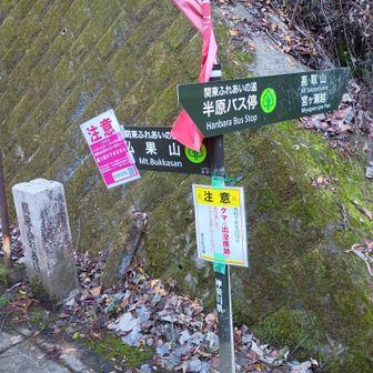 半原側の仏果山登山口まで一旦、降り、ここからはしばらくは山里を舗道歩きとなる