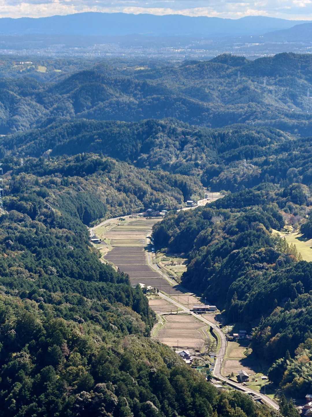 高沢山-大仏山-本城山 周回コースの写真