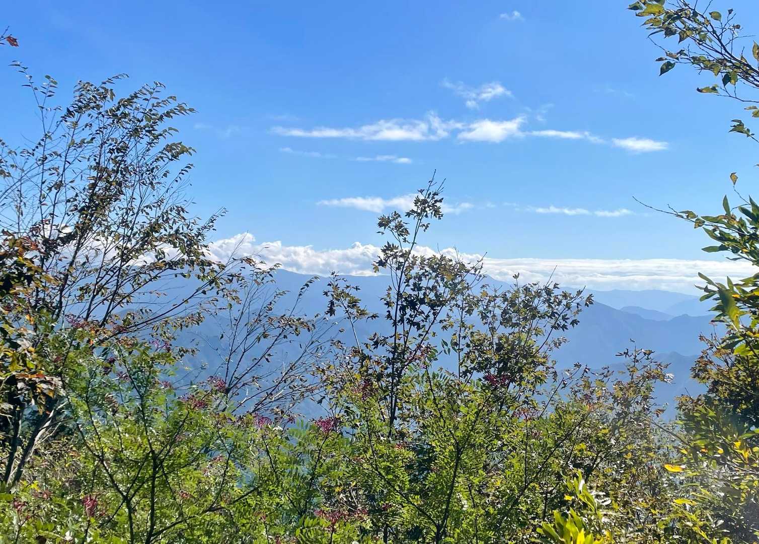 八嶽山山頂近くの展望台から😄