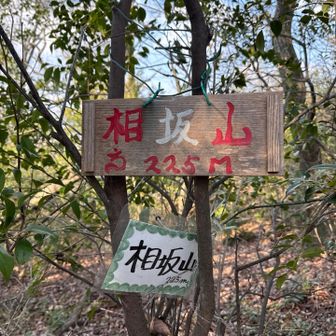 相坂山⛰️
プラの山頂標識落ちてたので枝に嚙ましました(^^)
（紐切れてて結べなかった💦）