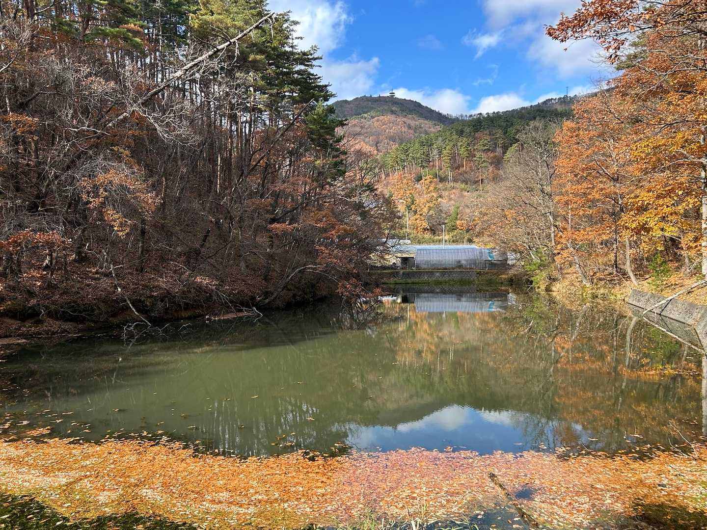 溜池からの三登山
