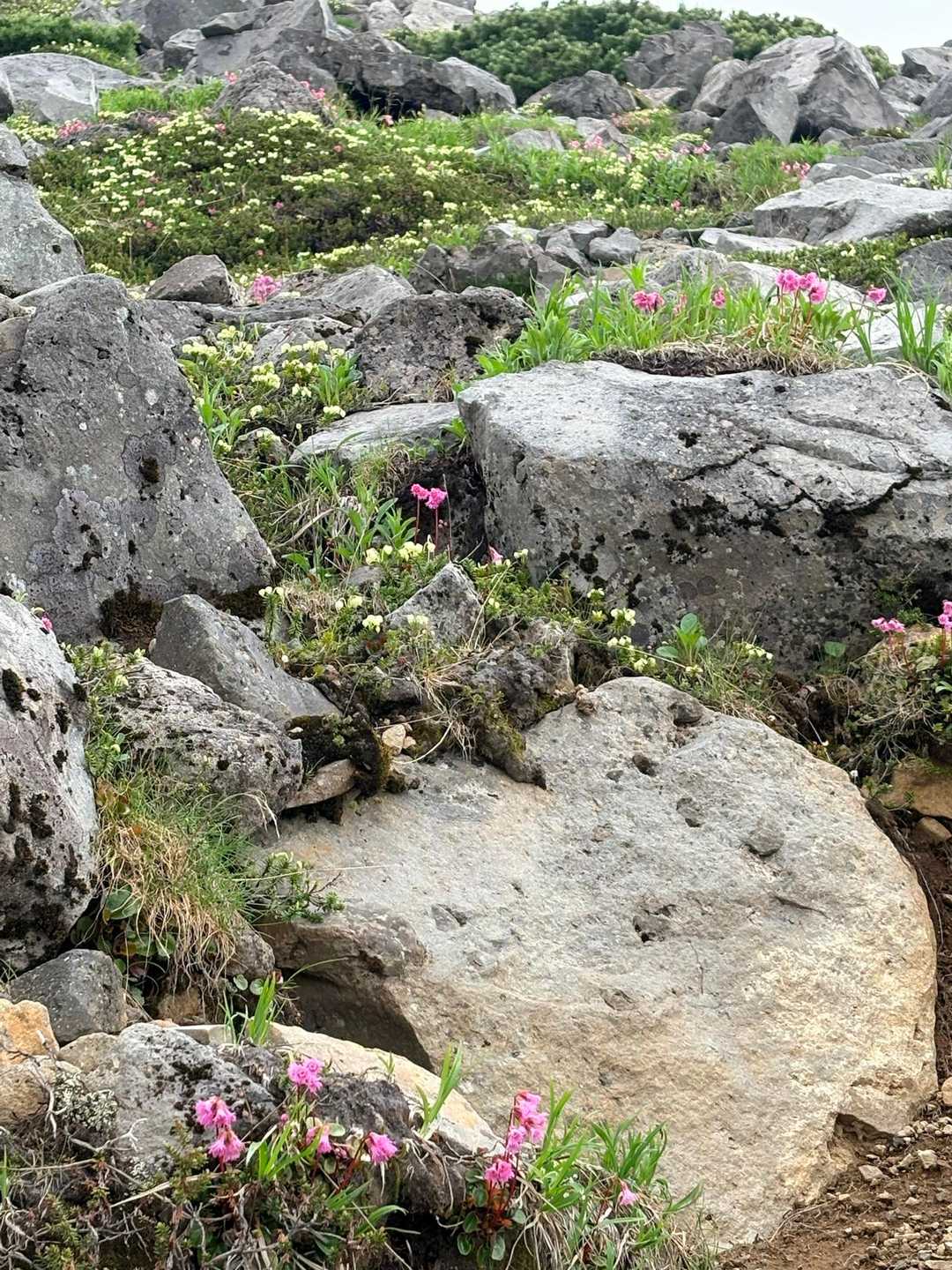 ところどころで、癒される