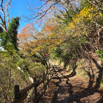 １時前なのに、大分お日様が傾いて来ました