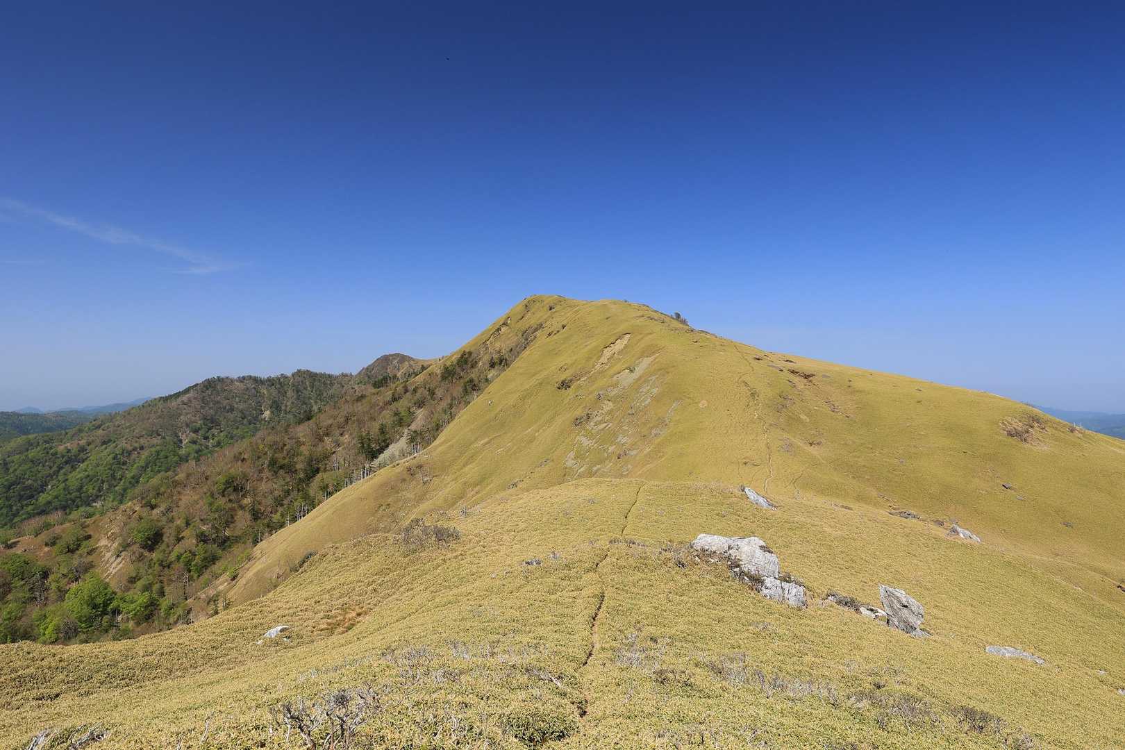 名頃登山口-ダケモミの丘-三嶺-西熊山 往復コースの写真